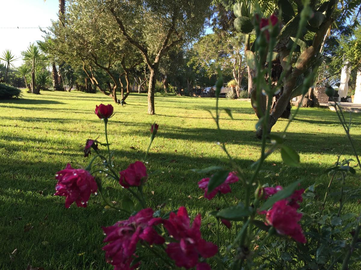 Dimora Del Duca, Masseria B&B Di Charme Monteroni di Lecce Zewnętrze zdjęcie